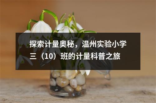 探索计量奥秘,温州实验小学三(10)班的计量科普之旅
