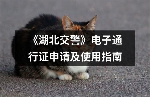 《湖北交警》电子通行证申请及使用指南