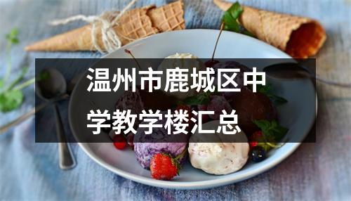 温州市鹿城区中学教学楼汇总