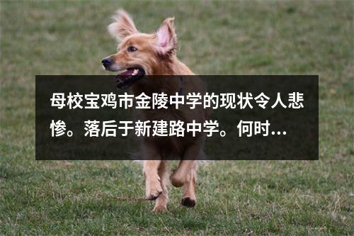 母校宝鸡市金陵中学的现状令人悲惨。落后于新建路中学。何时才能重拾昔日辉煌?