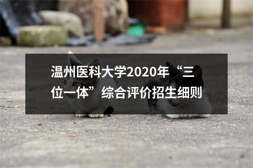温州医科大学2020年“三位一体”综合评价招生细则