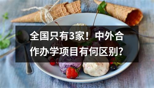 全国只有3家!中外合作办学项目有何区别?