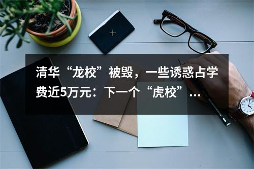 清华“龙校”被毁,一些诱惑占学费近5万元:下一个“虎校”会是下一个吗?