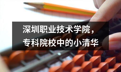 深圳职业技术学院,专科院校中的小清华