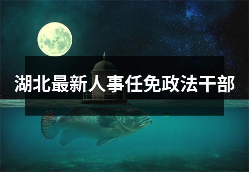 湖北最新人事任免政法干部