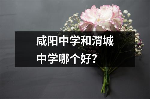 咸阳中学和渭城中学哪个好?