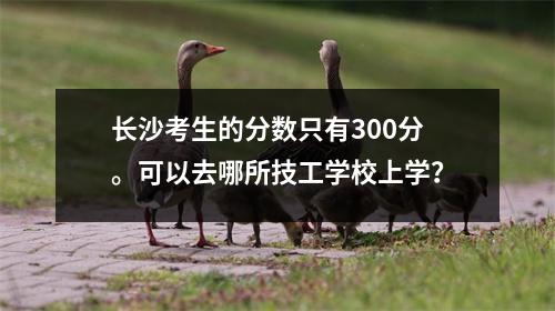 长沙考生的分数只有300分。可以去哪所技工学校上学?