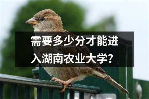 需要多少分才能进入湖南农业大学?