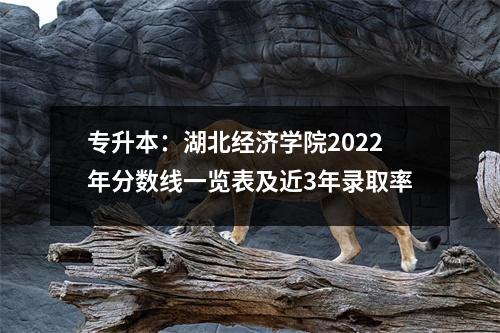 专升本:湖北经济学院2022年分数线一览表及近3年录取率