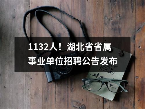 1132人!湖北省省属事业单位招聘公告发布