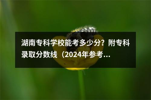 湖南专科学校能考多少分?附专科录取分数线(2024年参考)