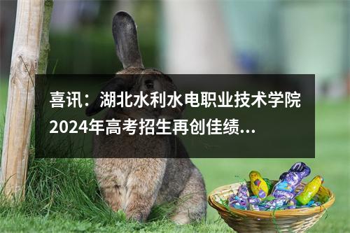 喜讯:湖北水利水电职业技术学院2024年高考招生再创佳绩!