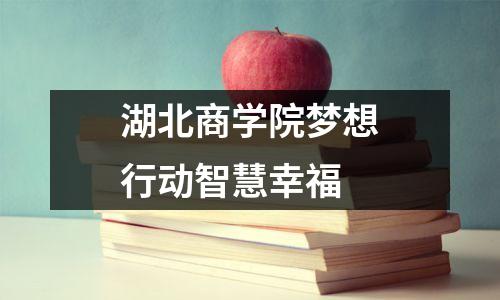 湖北商学院梦想行动智慧幸福