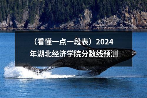 (看懂一点一段表)2024年湖北经济学院分数线预测