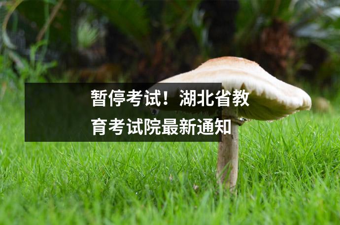 暂停考试!湖北省教育考试院最新通知
