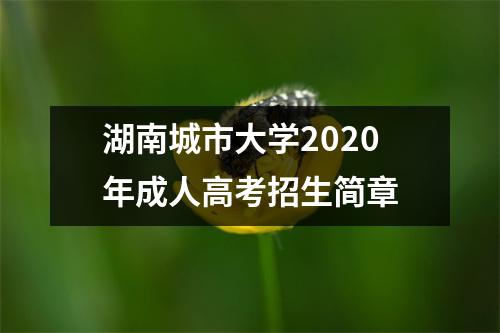 湖南城市大学2020年成人高考招生简章