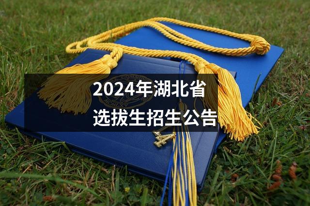 2024年湖北省选拔生招生公告