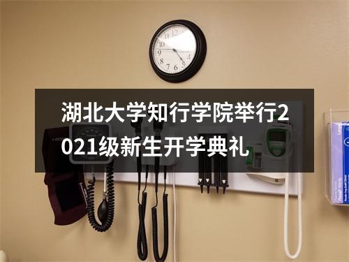 湖北大学知行学院举行2021级新生开学典礼