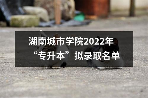 湖南城市学院2022年“专升本”拟录取名单