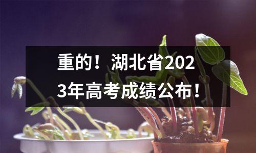 重的!湖北省2023年高考成绩公布!