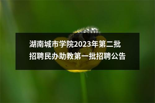湖南城市学院2023年第二批招聘民办助教第一批招聘公告