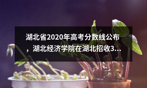 湖北省2020年高考分数线公布,湖北经济学院在湖北招收3109名学生!