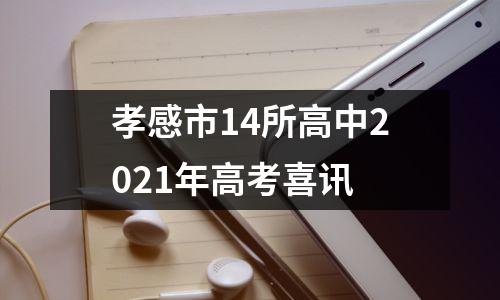 孝感市14所高中2021年高考喜讯
