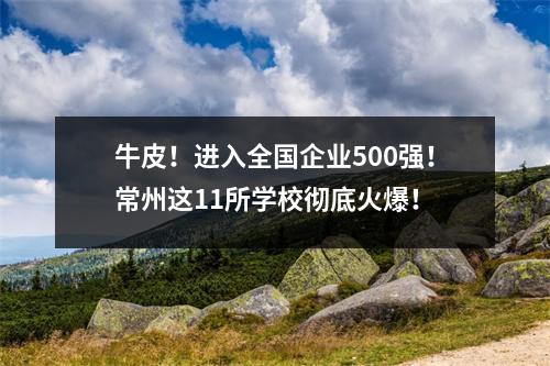 牛皮!进入全国企业500强!常州这11所学校彻底火爆!