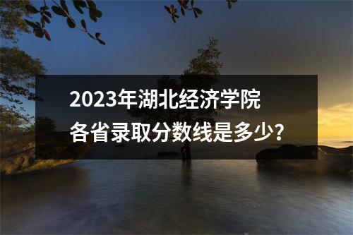 2023年湖北经济学院各省录取分数线是多少?