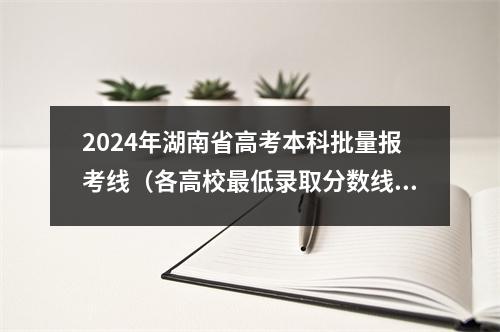 2024年湖南省高考本科批量报考线(各高校最低录取分数线)