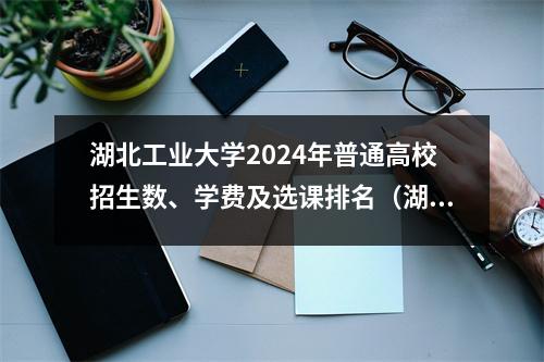 湖北工业大学2024年普通高校招生数、学费及选课排名(湖北省)