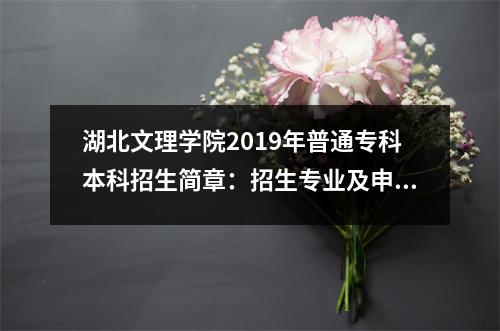 湖北文理学院2019年普通专科本科招生简章:招生专业及申请流程