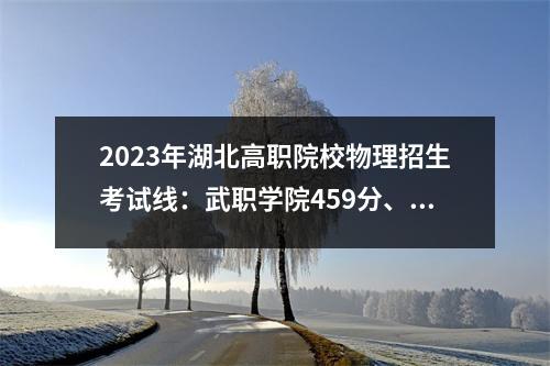 2023年湖北高职院校物理招生考试线:武职学院459分、武汉文理学院150分