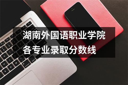湖南外国语职业学院各专业录取分数线