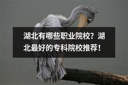 湖北有哪些职业院校?湖北最好的专科院校推荐!