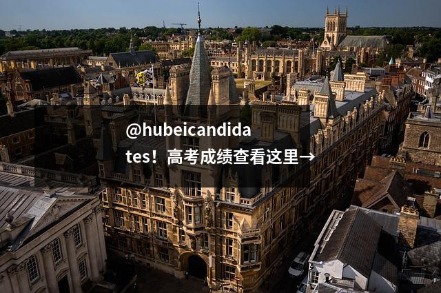 @hubeicandidates!高考成绩查看这里→