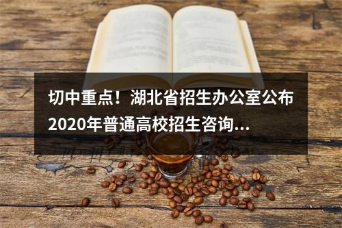 切中重点!湖北省招生办公室公布2020年普通高校招生咨询接待办法
