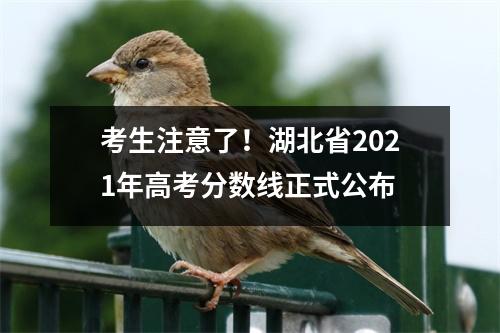 考生注意了!湖北省2021年高考分数线正式公布