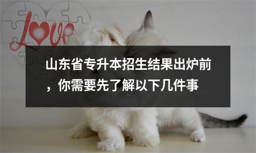 山东省专升本招生结果出炉前,你需要先了解以下几件事