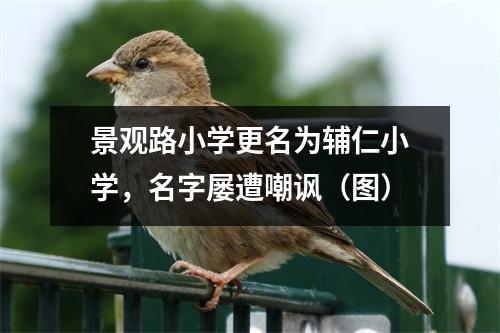 景观路小学更名为辅仁小学,名字屡遭嘲讽(图)