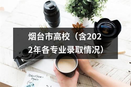 烟台市高校(含2022年各专业录取情况)