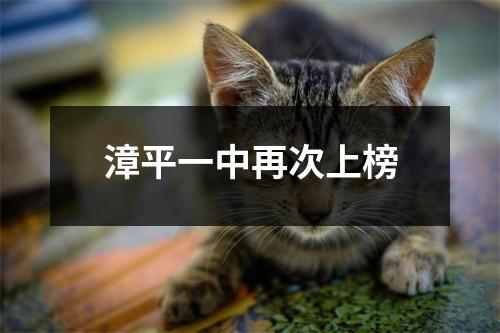 漳平一中再次上榜