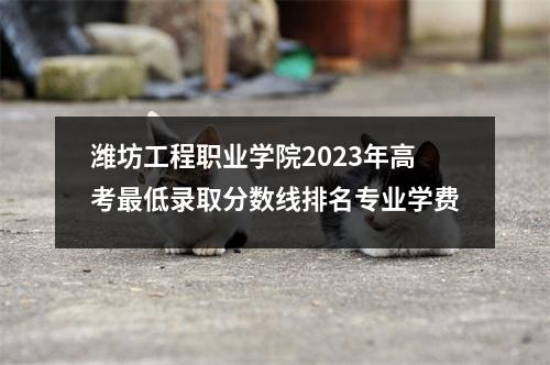 潍坊工程职业学院2023年高考最低录取分数线排名专业学费