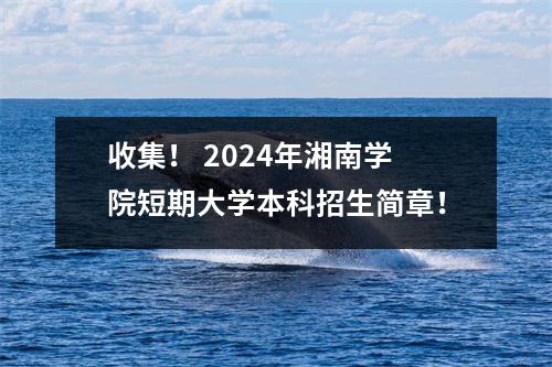 收集! 2024年湘南学院短期大学本科招生简章!