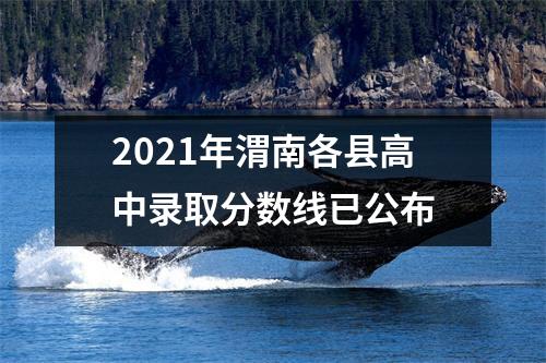 2021年渭南各县高中录取分数线已公布