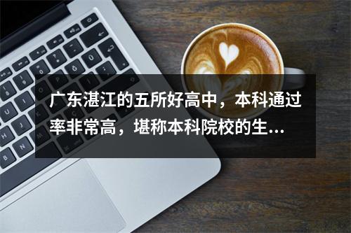 广东湛江的五所好高中,本科通过率非常高,堪称本科院校的生源基地。