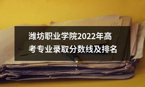 潍坊职业学院2022年高考专业录取分数线及排名
