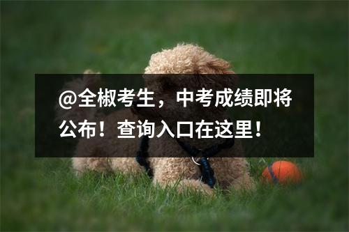 @全椒考生,中考成绩即将公布!查询入口在这里!