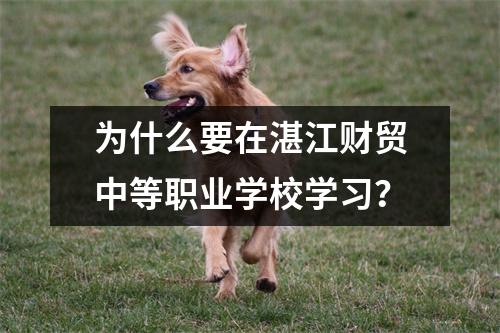 为什么要在湛江财贸中等职业学校学习?