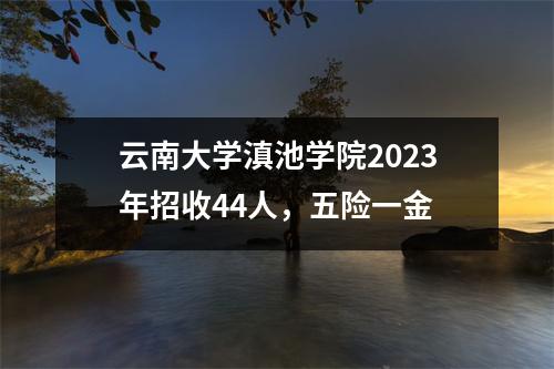 云南大学滇池学院2023年招收44人,五险一金